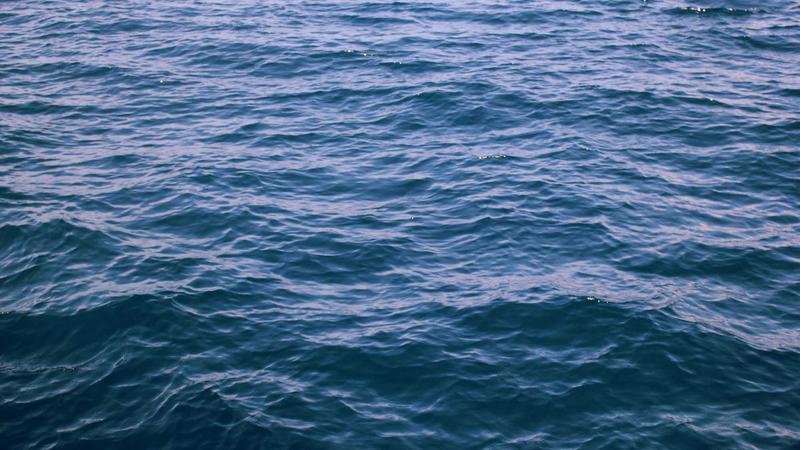 每日大赛吃瓜产品特性展示