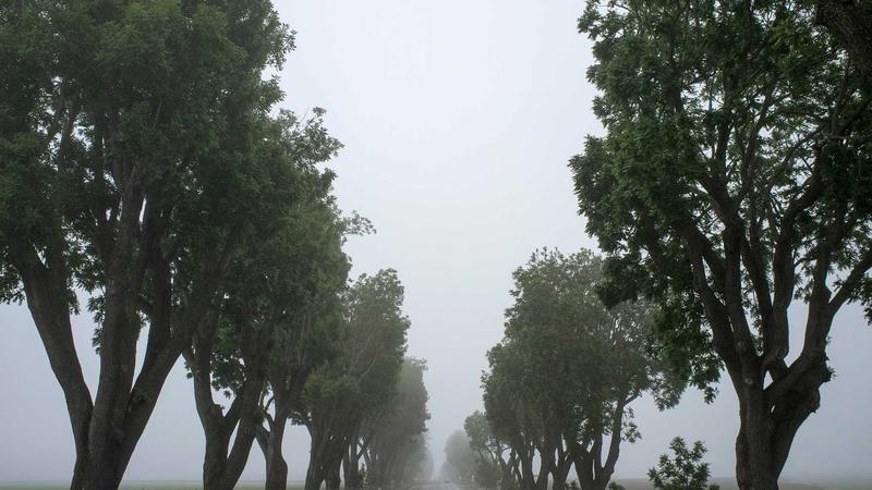 每日大赛吃瓜案例一：赛事数据平台